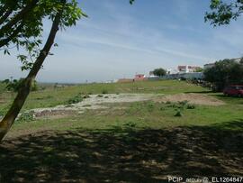 Fotografia 010