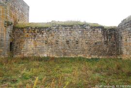 Registo Fotográfico