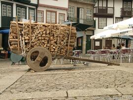 Fotografia 001