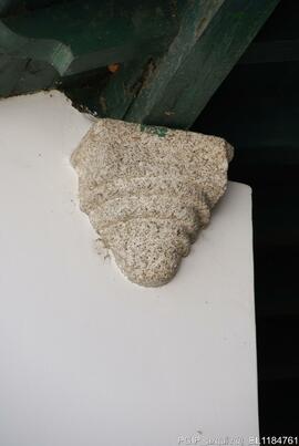 Fotografia exterior e area envolvente