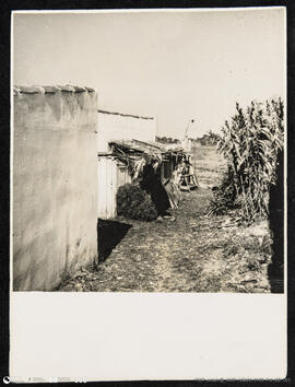 Mulher arrumando aguilhota