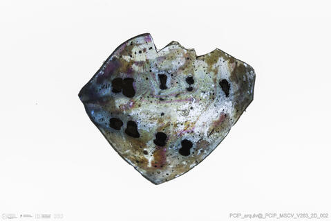 Open original Objeto digital