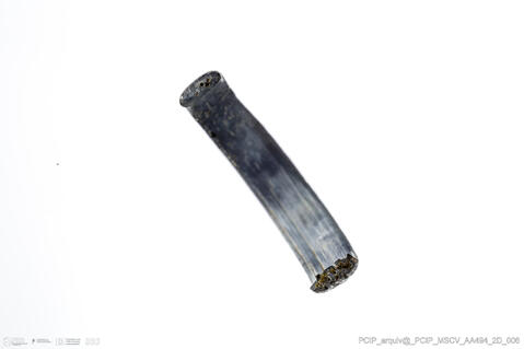 Open original Digital object