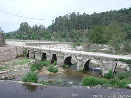 Fotografia 005