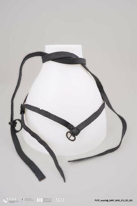 Freio das maldizentes