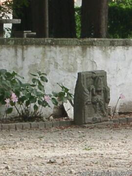 Fotografia 008