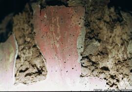 Estado de conservação