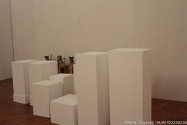 Fotografia 004