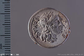 Denarius