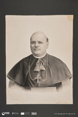 D. Francisco José Ribeiro de Vieira e Brito