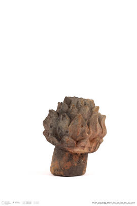 Fragmento alcachofra