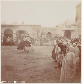 Álbum fotográfico - Viagem de Fev-Mai 1903 ao Mediterrâneo