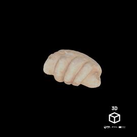 Mão (fragmento de estátua)