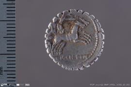 Denarius Senatus