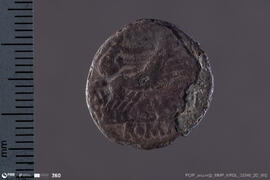 Denarius