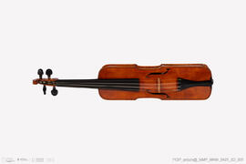 Violino