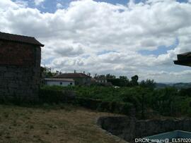 Fotografia 003