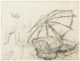 Como eles se criam – estudo