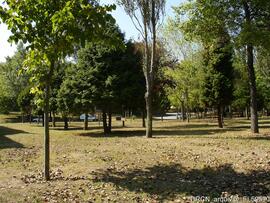 Fotografia 016