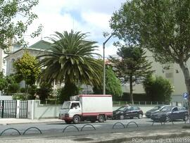 Fotografia 007