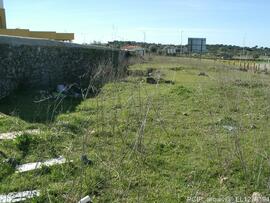 Fotografia 010