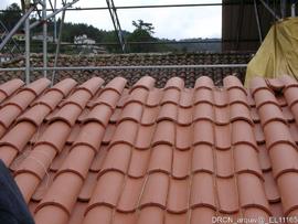 Fotografia 017