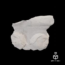 Capitel