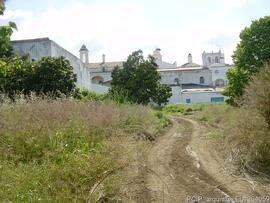 Fotografia 023