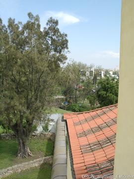 Fotografia 012