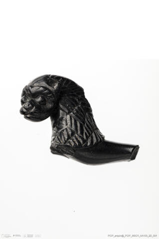 Open original Objeto digital