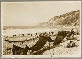 Redes ao sol e puxando a rede