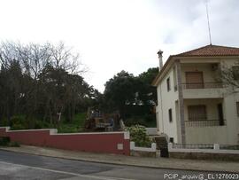 Fotografia 008