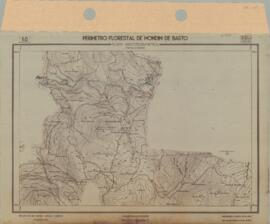 Perímetro Florestal - Planta Aerofogramétrica (1959-04)