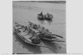 Sem Título