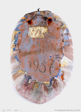 Máscara Negativa