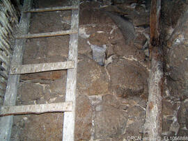 Composição da torre