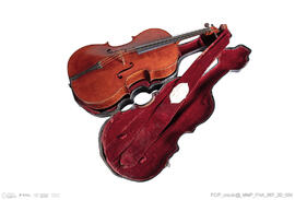 Violoncelo