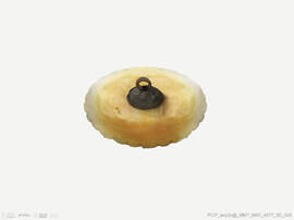 Botão