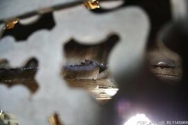 Capela de Nossa Senhora – Gradeamento