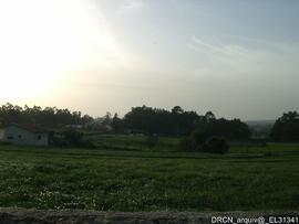 Fotografia 004