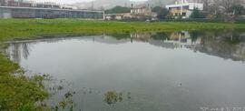 Fotografia 019