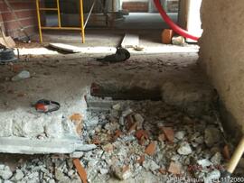 Intervenção de conservação e restauro