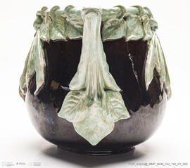 Pote com feijão verde
