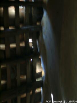 Fotografia 012