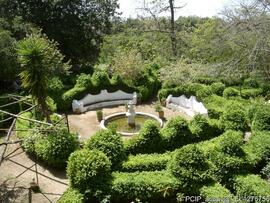 Fotografia 007