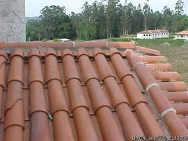 Fotografia 007