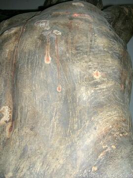 Escultura