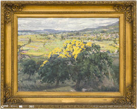 Sol da Tarde. Veiga da Urgeira