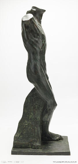 Torso