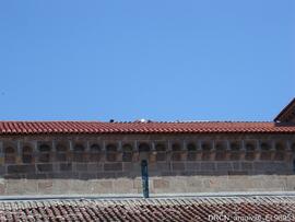 Fotografia 013